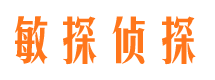 长丰侦探公司